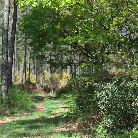 Ferienhaus Maison Jus *