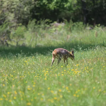 Maison Jus Ferienhaus
