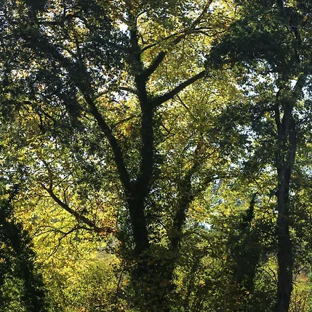 Maison Jus Ferienhaus Lesgor