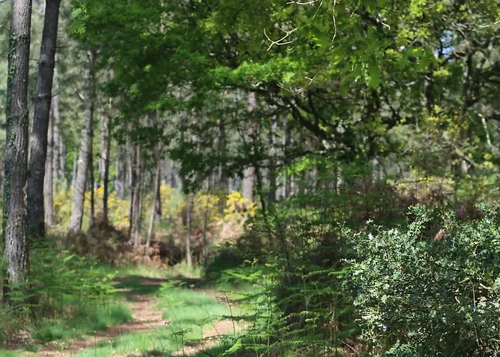 Casa vacanze Maison Jus *