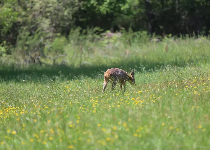 Maison Jus Casa vacanze