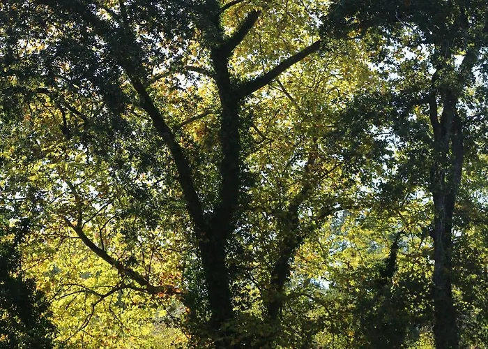 Maison Jus Casa vacanze Lesgor